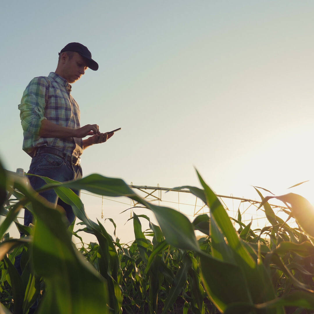 Weller Insurance | farmer looking at iPad in corn field